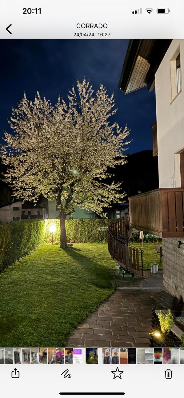 Casa Di Tea Apartment Pieve di Cadore Exterior photo
